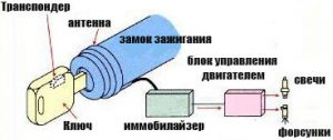 как защищает