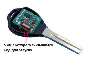 ключ защиты